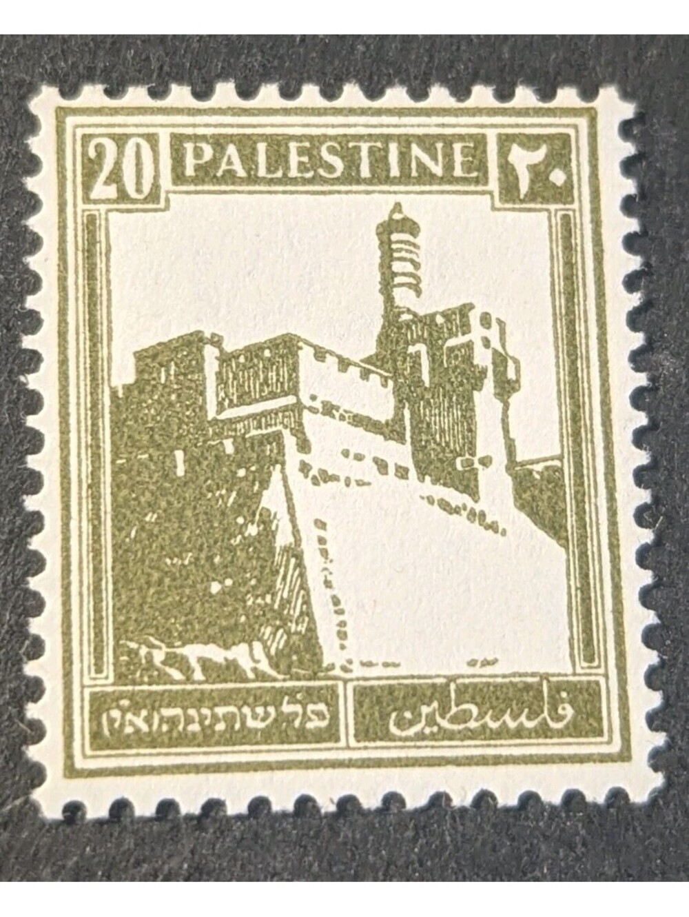 Palestine Sc 77 MNH 1927 20m olive green Citadel Plate variety in Hebrew Print